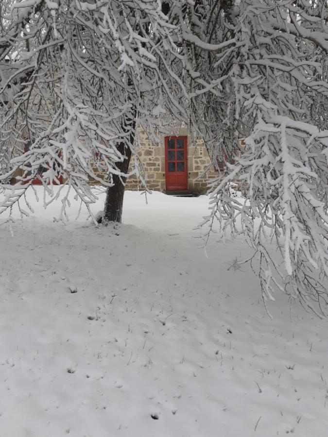 Auverg'Nature Chambre Cocon Espinasse Extérieur photo